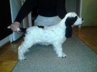 /album/patu/helmi13-018-jpg/